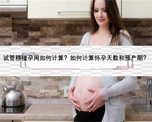 试管移植孕周如何计算？如何计算怀孕天数和预产期？